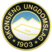 Skonseng UL logo
