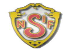 Nedre Sigdal IF logo