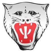 Vikersund IF logo